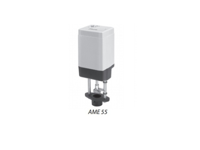 ame55